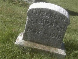 Elizabeth Tschappeler Gaubatz Elizabeth Tschappeler Gaubatz