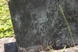Elizabeth Tye Elizabeth Tye