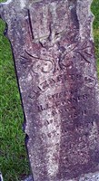 Elizabeth W Conner