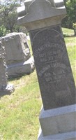 Elizabeth W Stoddard