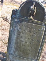 Elizabeth Wilcox Farnham