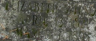 Elizabeth Wilson Carothers