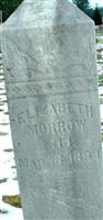 Elizabeth Wyatt Morrow