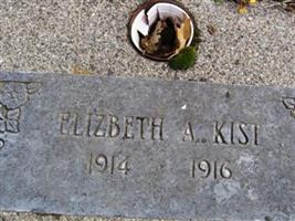 Elizbeth A. Kist