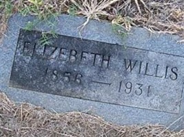 Elizebeth Willis