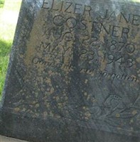 Elizer Jane Costner Elizer Jane Costner