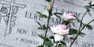Elke Pamela Way Hester Elke Pamela Way Hester
