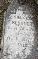 Ella A Blodgett