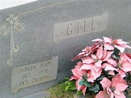 Ella Clifford Gill Ella Clifford Gill