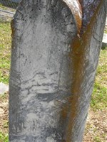 Ella L. Sanders