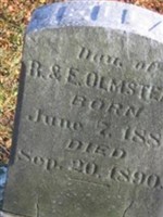 Ella M Olmstead