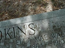 Ella Mae Walker Brookins