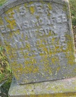 Ella S. McAfee Whitson