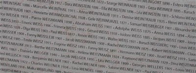 Ella Weinstein Ella Weinstein