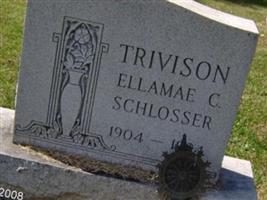 Ellamae C Schlosser Trivison
