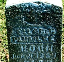 Ellar C, Plumlee