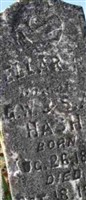 Ellar F Hash Ellar F Hash