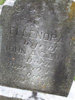 Elleanora M Lipps Elleanora M Lipps