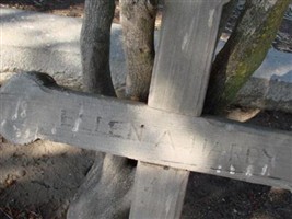 Ellen A Hardy