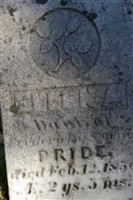 Ellen A. Pride (1876717.jpg) Ellen A. Pride (1876717.jpg)