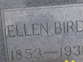 Ellen Bird