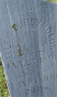 Ellen E Reynolds