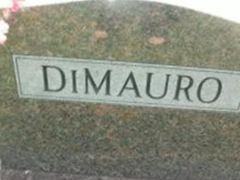 Ellen Fort DiMauro