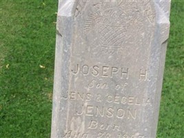 Ellen L. A. Jenson Ellen L. A. Jenson