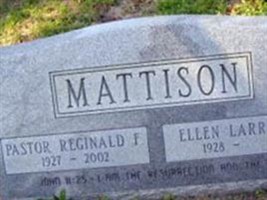 Ellen Larrabee Mattison