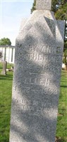 Ellen Lynch