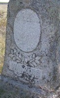 Ellen S. Watkins