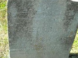 Ellen Sledd Ellen Sledd