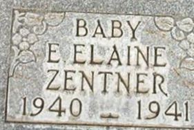 Ellener Elaine Zentner