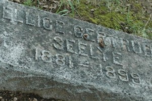 Ellice G Seelye