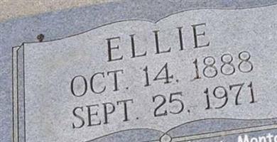 Ellie Hoey Baird Ellie Hoey Baird