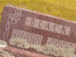 Ellie LeDora Carter Black