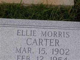 Ellie Morris Carter