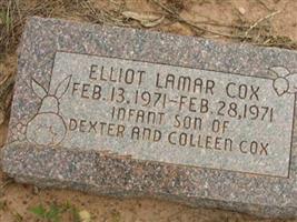 Elliot Lamar Cox