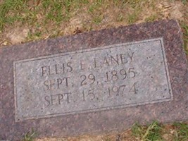 Ellis E Laney
