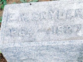 Ellis McClellan Snyder
