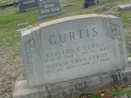 Ellison Gwyn Curtis