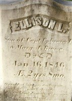Ellison L Brown