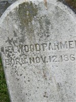 Ellwood Parmer Ellwood Parmer