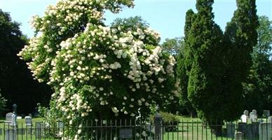 Elm Street Cemetery