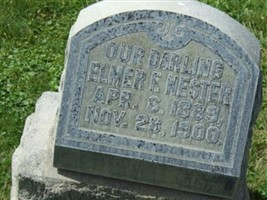 Elmer F Nester Elmer F Nester