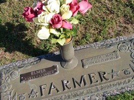 Elmer Farmer
