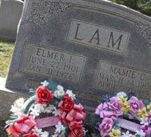 Elmer Isaac Lam Elmer Isaac Lam