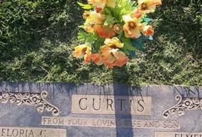Elmer Levi Curtis