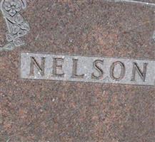 Elmer Lewis Nelson (1861998.jpg)