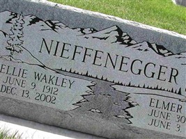 Elmer Lyle Nieffenegger Elmer Lyle Nieffenegger